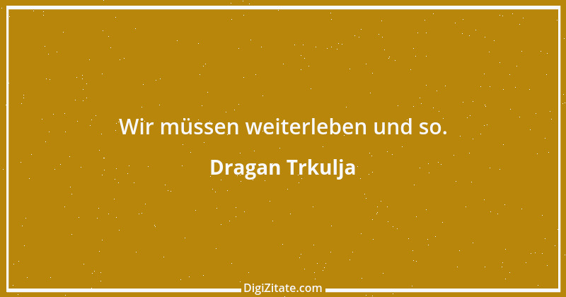 Zitat von Dragan Trkulja 1