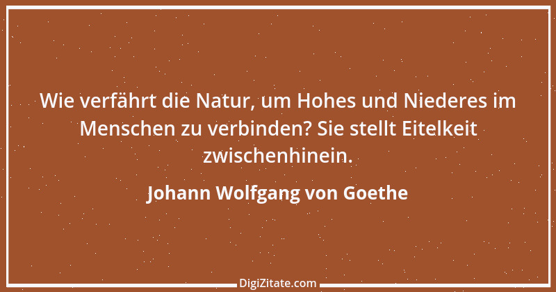 Zitat von Johann Wolfgang von Goethe 1062