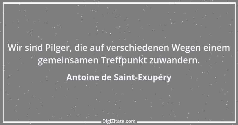 Zitat von Antoine de Saint-Exupéry 67