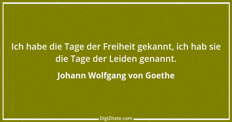 Zitat von Johann Wolfgang von Goethe 1064