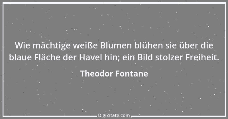 Zitat von Theodor Fontane 326