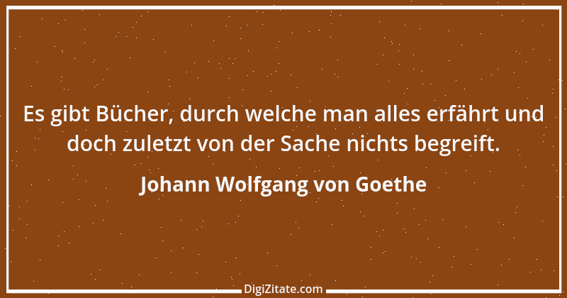 Zitat von Johann Wolfgang von Goethe 2065