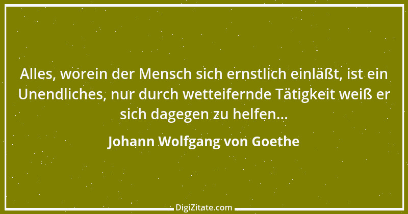 Zitat von Johann Wolfgang von Goethe 4065