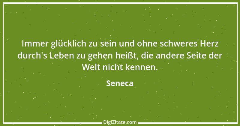 Zitat von Seneca 201