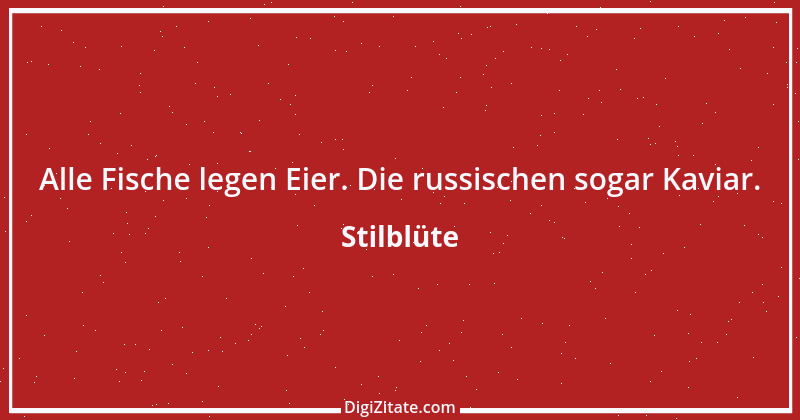 Zitat von Stilblüte 103