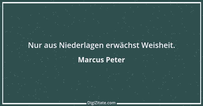 Zitat von Marcus Peter 2