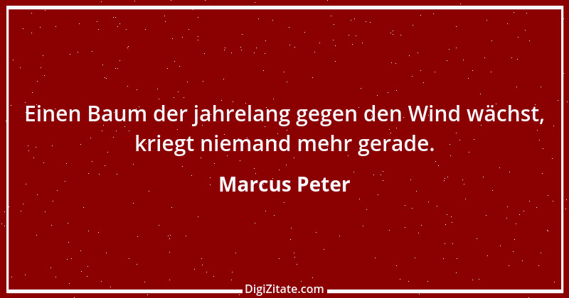 Zitat von Marcus Peter 3