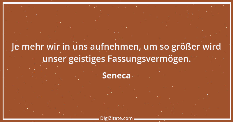 Zitat von Seneca 204