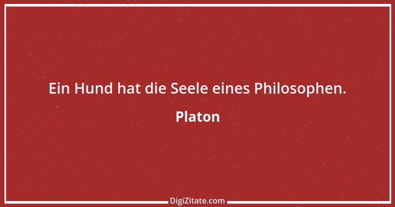 Zitat von Platon 105