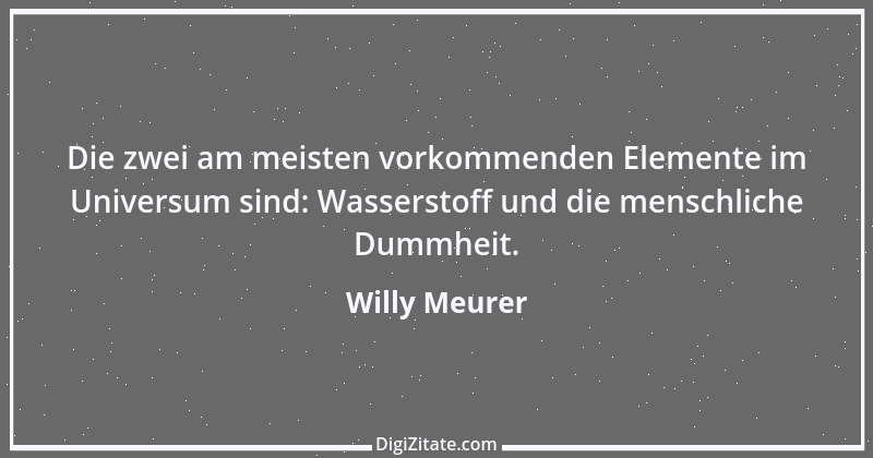 Zitat von Willy Meurer 370