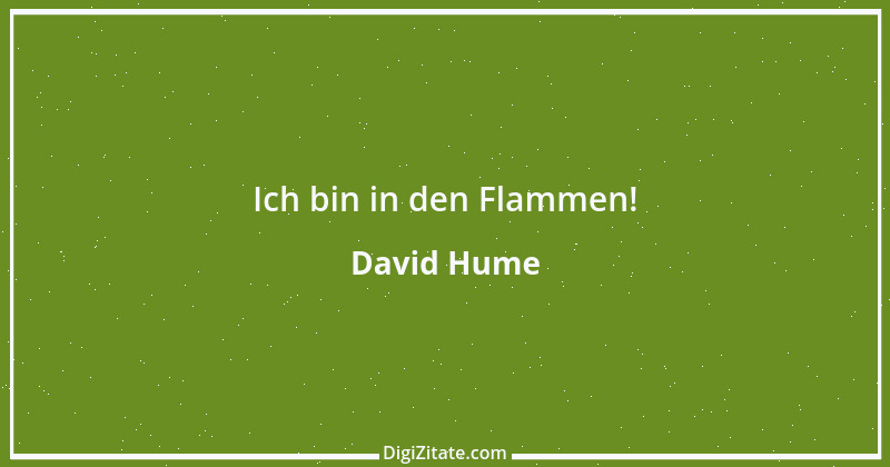 Zitat von David Hume 11