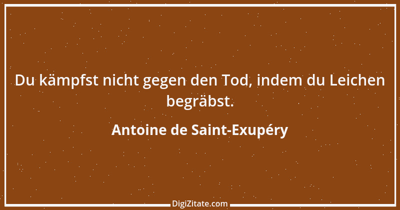 Zitat von Antoine de Saint-Exupéry 75