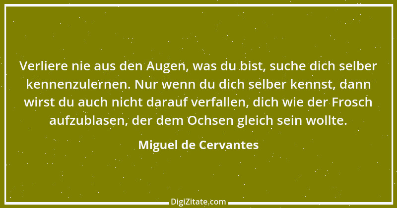 Zitat von Miguel de Cervantes 2