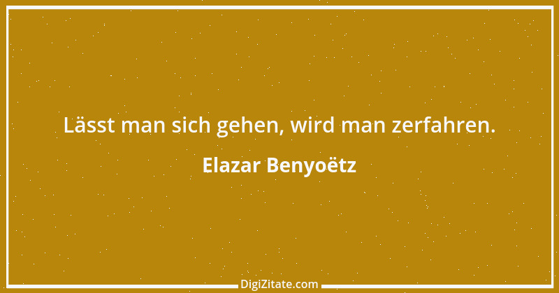 Zitat von Elazar Benyoëtz 25