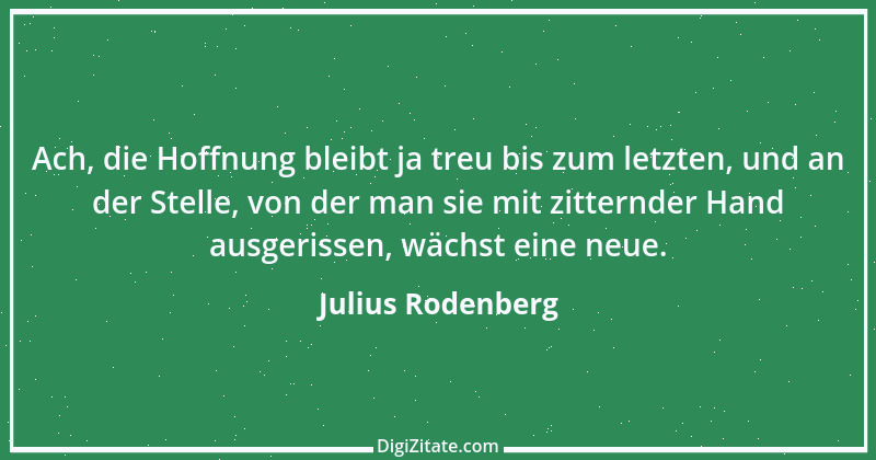 Zitat von Julius Rodenberg 17