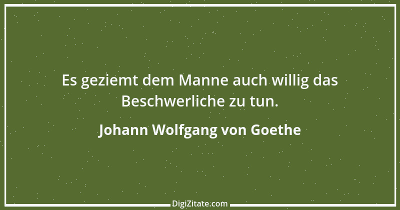 Zitat von Johann Wolfgang von Goethe 73