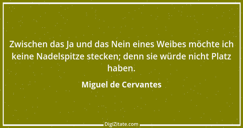 Zitat von Miguel de Cervantes 4