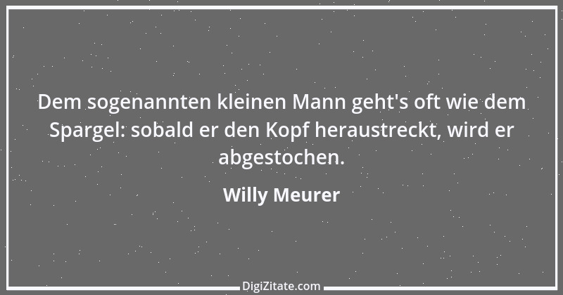 Zitat von Willy Meurer 374