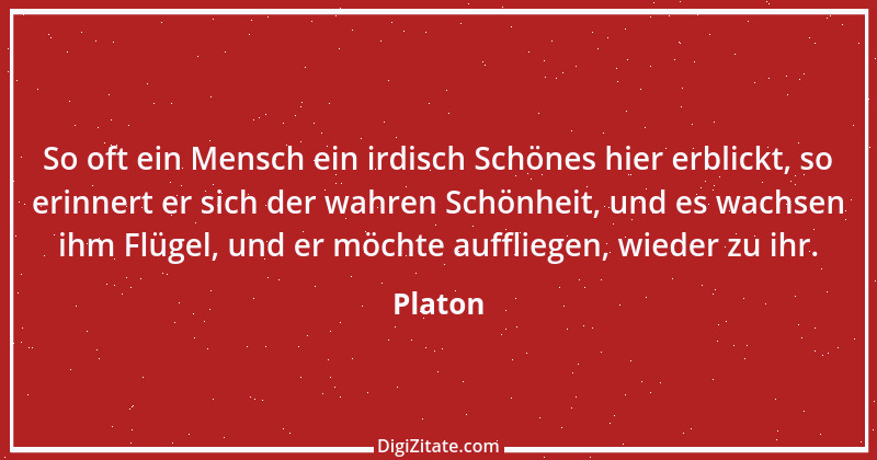 Zitat von Platon 110