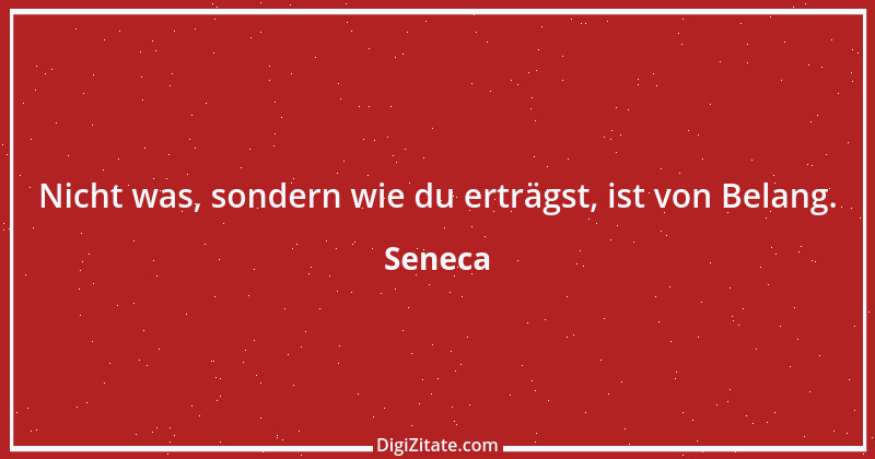 Zitat von Seneca 210