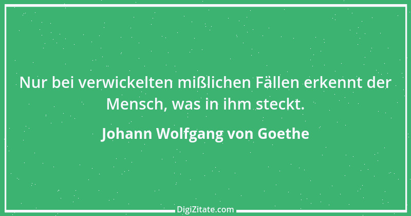 Zitat von Johann Wolfgang von Goethe 1075