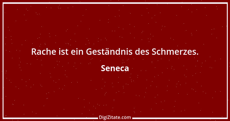 Zitat von Seneca 211