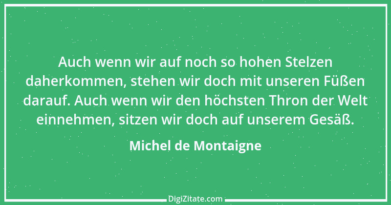 Zitat von Michel de Montaigne 449