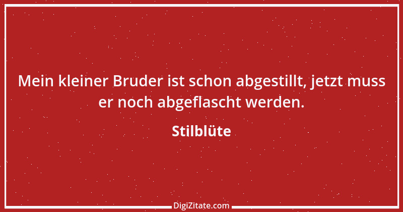 Zitat von Stilblüte 104