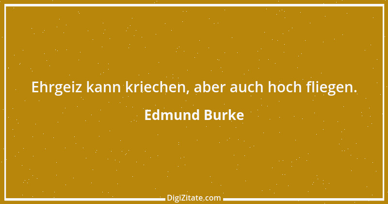 Zitat von Edmund Burke 12