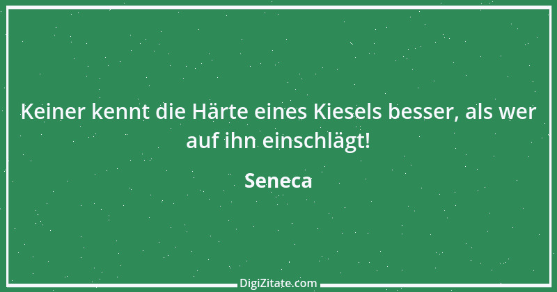 Zitat von Seneca 213