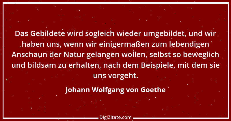 Zitat von Johann Wolfgang von Goethe 2078