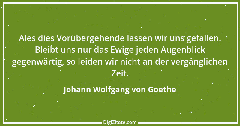 Zitat von Johann Wolfgang von Goethe 3078