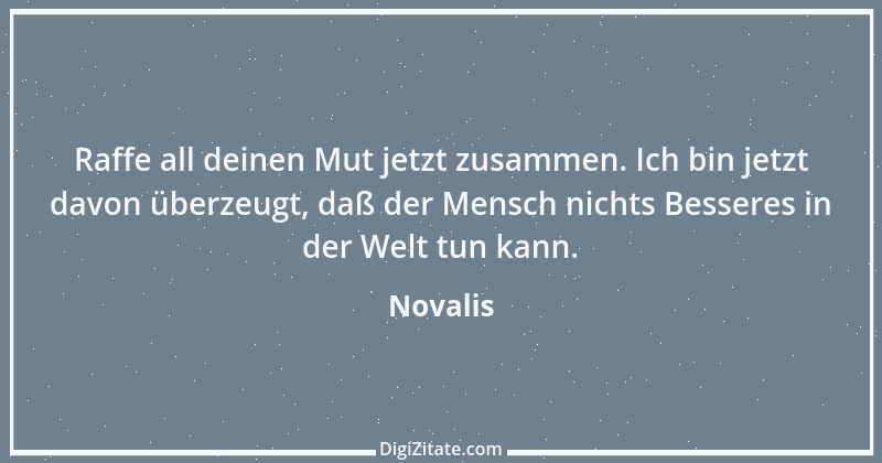 Zitat von Novalis 402