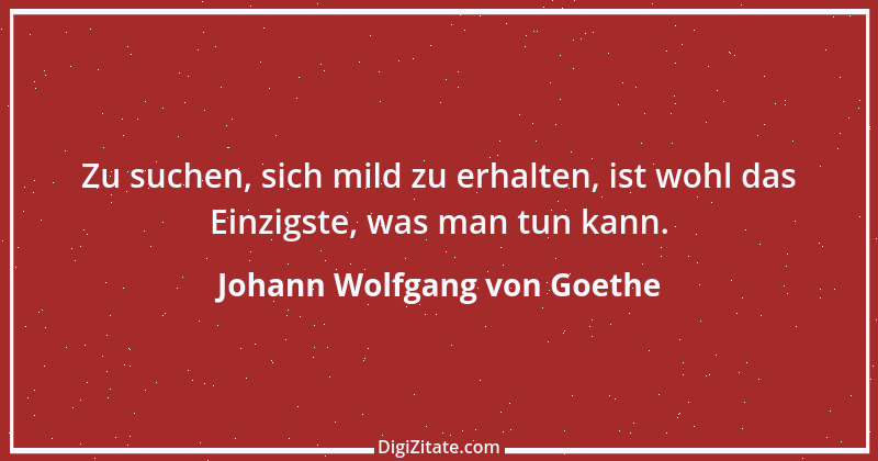 Zitat von Johann Wolfgang von Goethe 3079