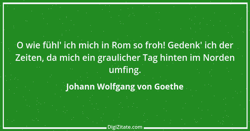 Zitat von Johann Wolfgang von Goethe 79