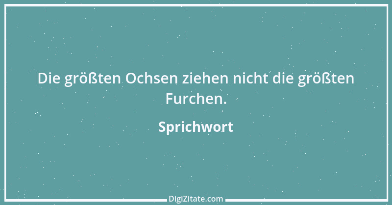 Zitat von Sprichwort 2071