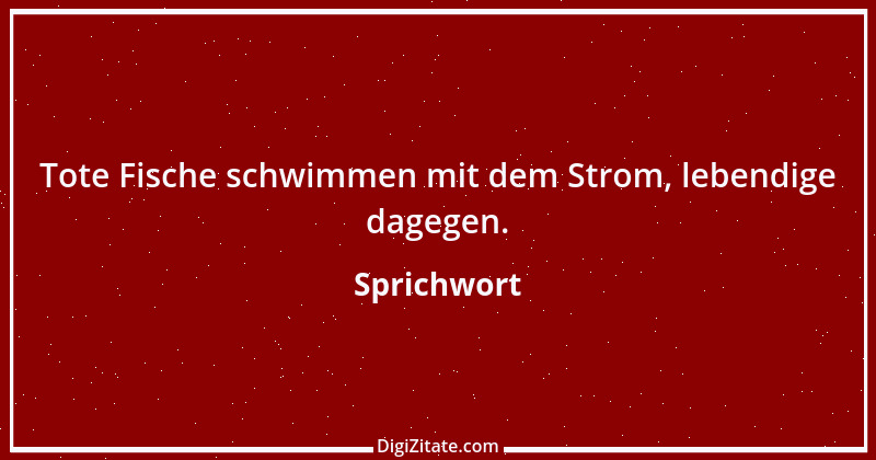 Zitat von Sprichwort 7071