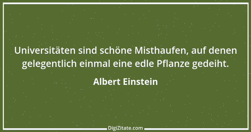 Zitat von Albert Einstein 167