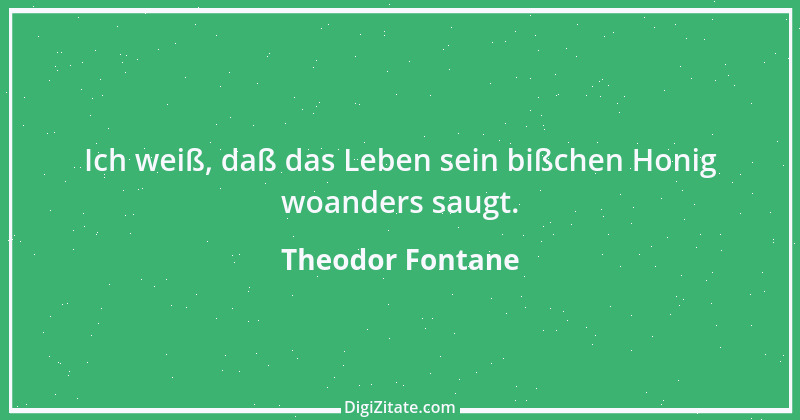 Zitat von Theodor Fontane 342