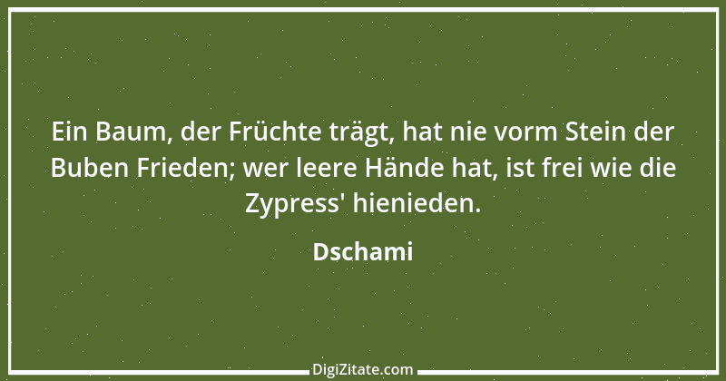 Zitat von Dschami 12