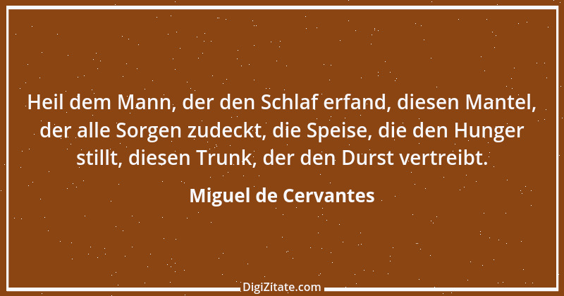 Zitat von Miguel de Cervantes 12