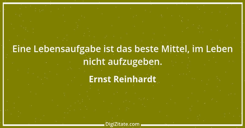 Zitat von Ernst Reinhardt 323