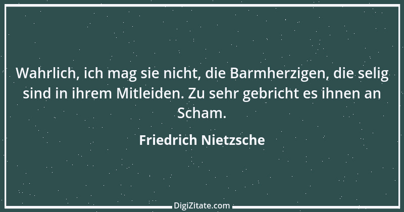 Zitat von Friedrich Nietzsche 19