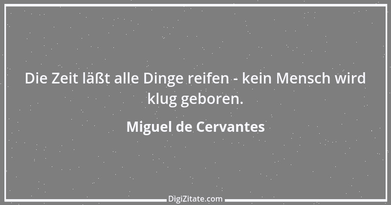 Zitat von Miguel de Cervantes 13