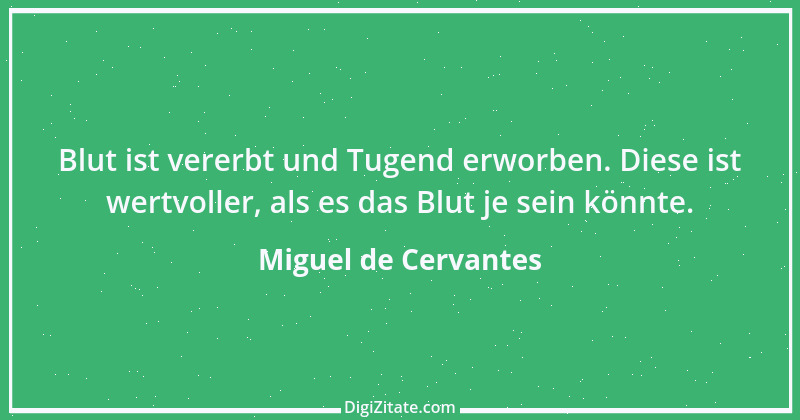 Zitat von Miguel de Cervantes 14