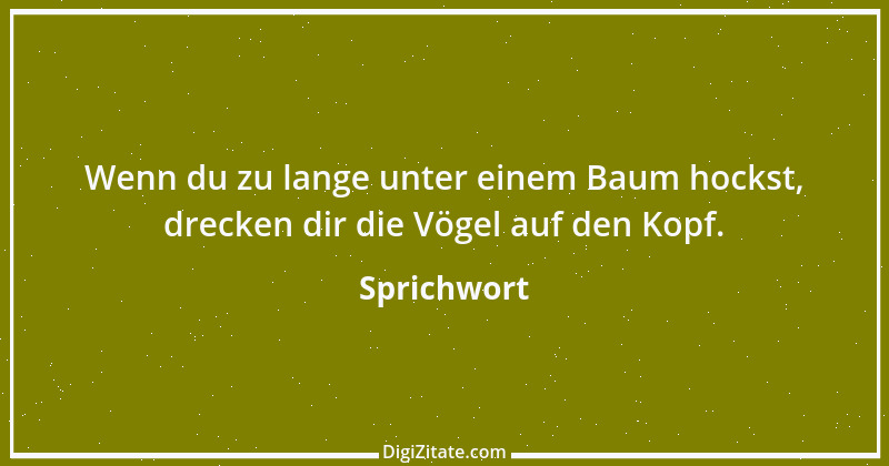 Zitat von Sprichwort 4075