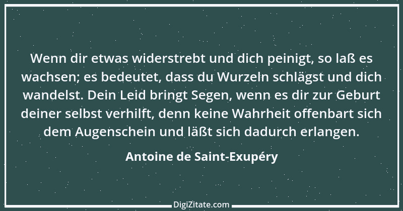 Zitat von Antoine de Saint-Exupéry 88