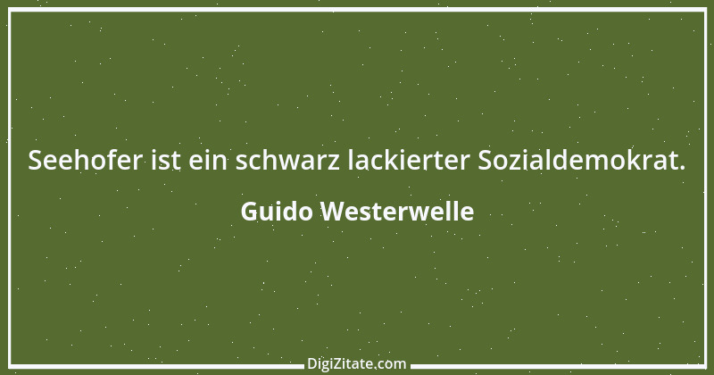 Zitat von Guido Westerwelle 8