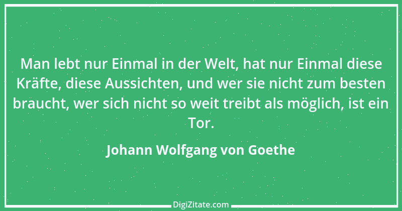 Zitat von Johann Wolfgang von Goethe 2084