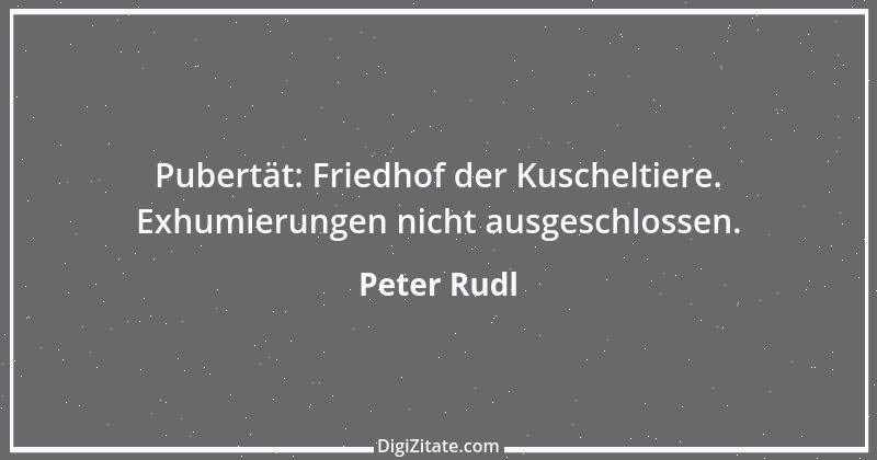 Zitat von Peter Rudl 358